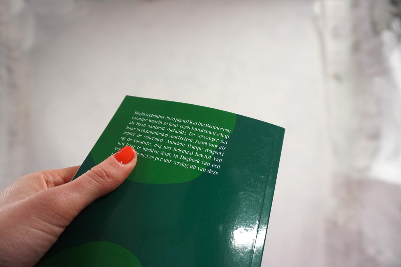 Dagboek van een vervanger (2e druk)